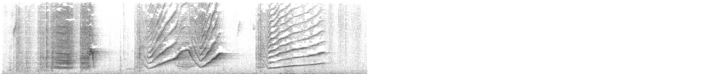 Great-tailed Grackle - ML644901267