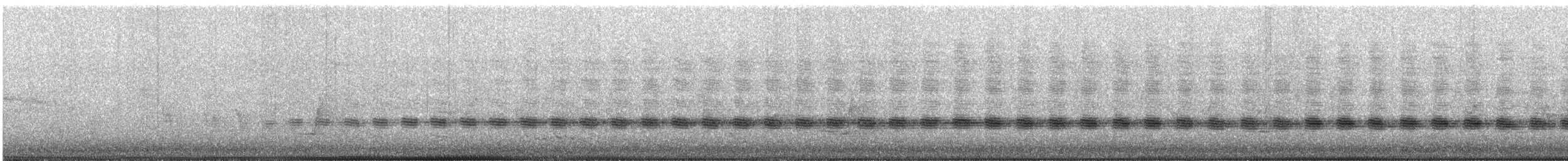 Sahul Cicadabird - ML644902323