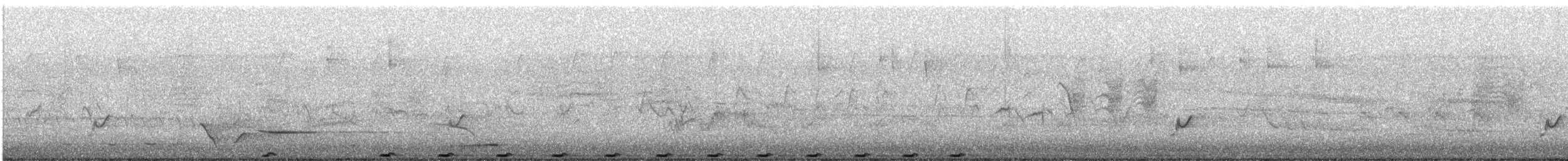 Pheasant Coucal - ML644902341