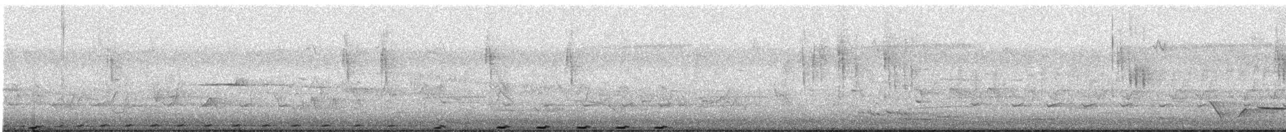 Pheasant Coucal - ML644902342