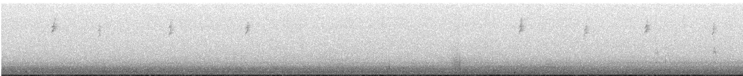 Orange-crowned Warbler (Gray-headed) - ML644902561