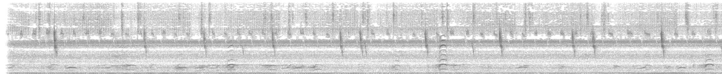 Sedge Wren - ML644902803