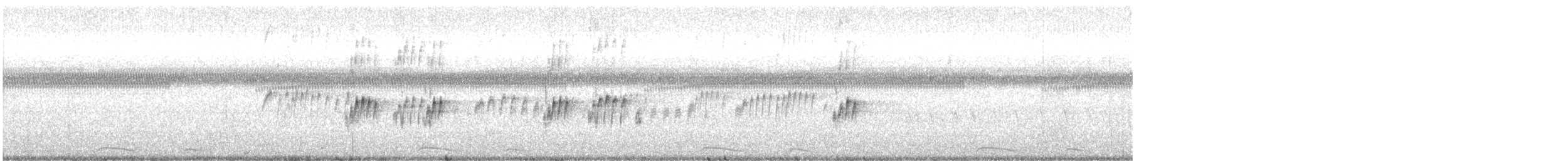 tropekongetyrann - ML644904072