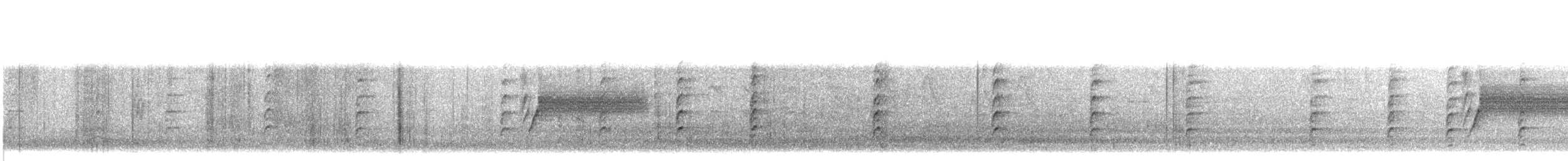 svartkronestylteløper - ML644904350