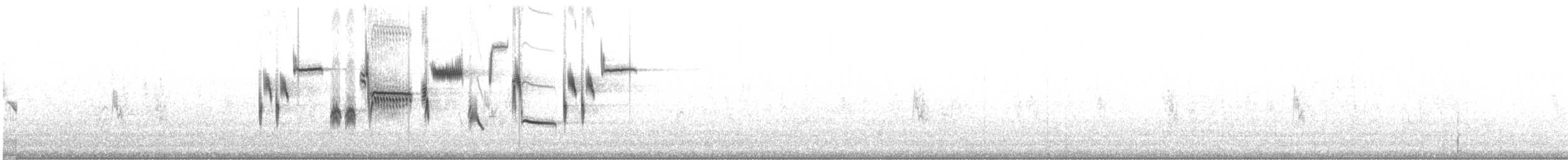 gråhodespurv - ML644904482