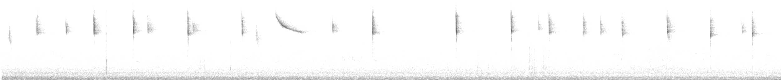 gråhodespurv - ML644904486