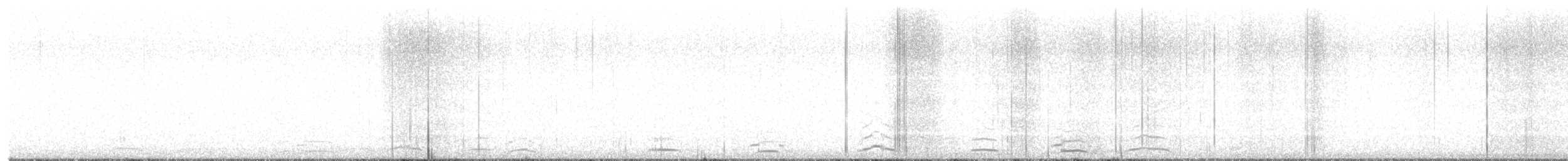 dvergsvane - ML644904494