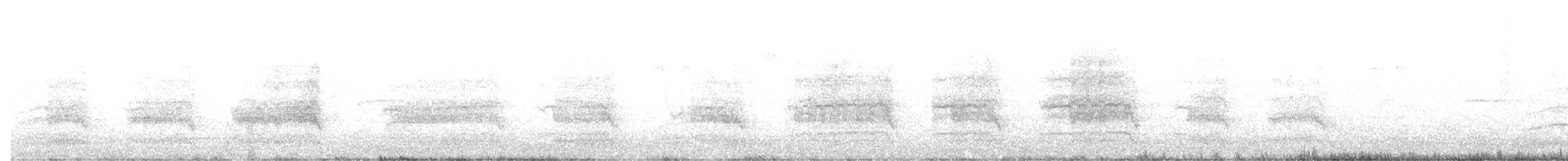 Belatz handia - ML644905934