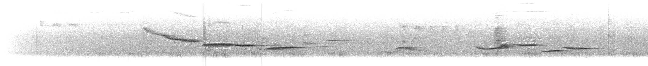 hvitstjertfluesnapper - ML644906002