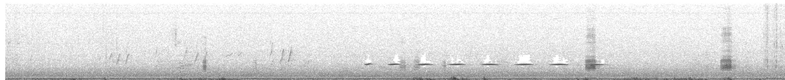 Ánade Cejudo - ML644906262