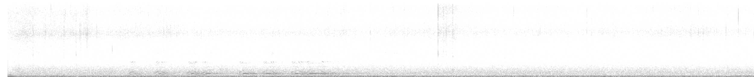 Cárabo Norteamericano - ML644906374