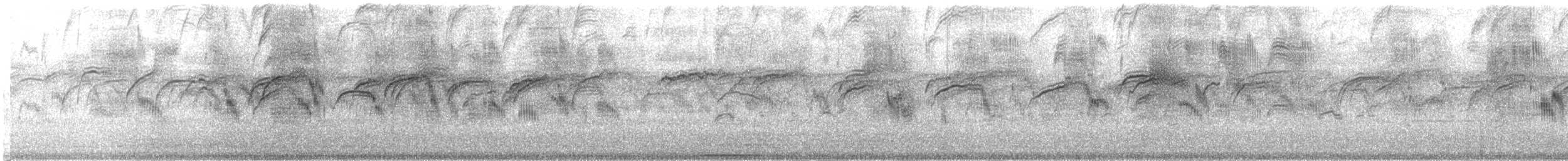 Vencejo Común - ML644906471