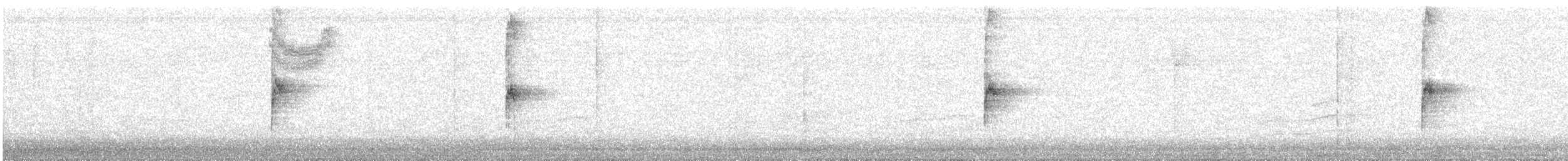 Chingolo Gorjiblanco - ML644906474