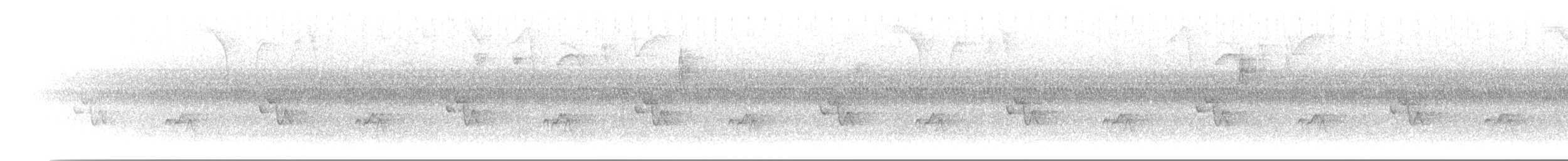 Cucarachero Pechigrís - ML644906555