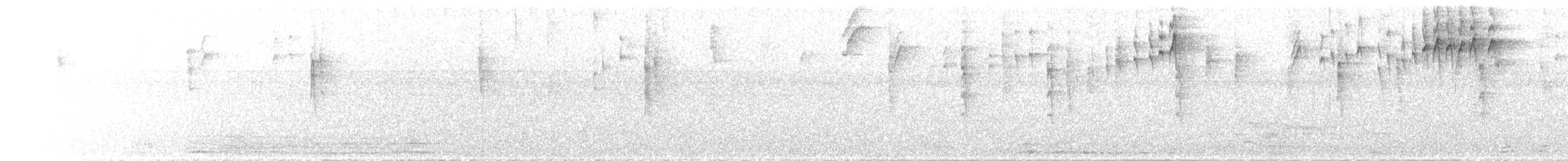 Clorospingo Común (México noreste) - ML644906576