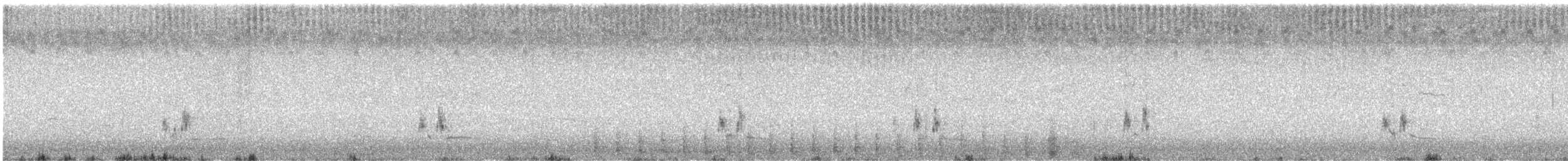 Alcaudón Americano - ML644906639