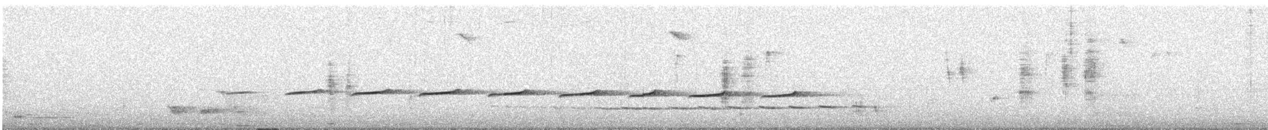 Shining Bronze-Cuckoo - ML644907391