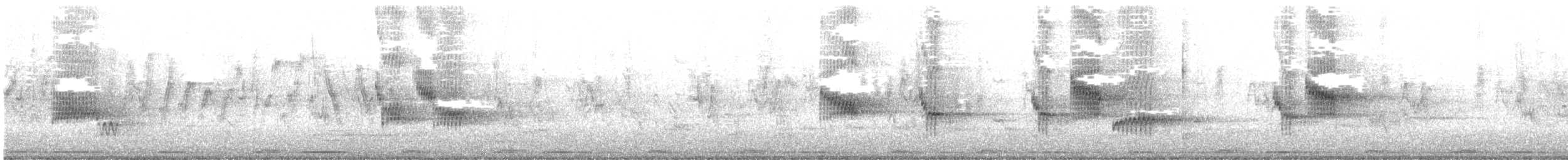 Indian Pied Starling - ML644907696