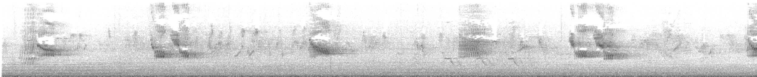 Indian Pied Starling - ML644907697