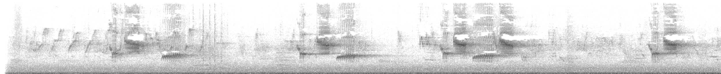 Indian Pied Starling - ML644907698