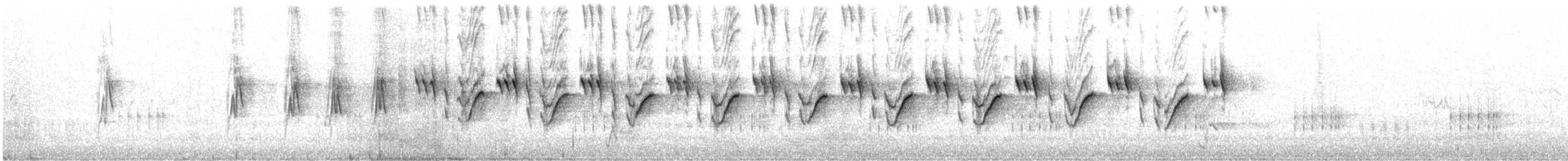 Tasmanian Scrubwren - ML644908351