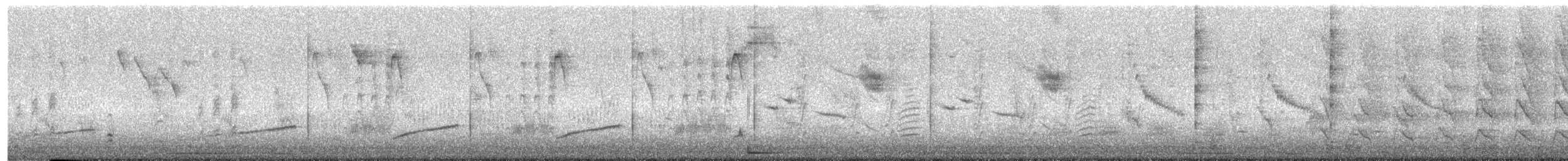 זרזיר שחור - ML644908831