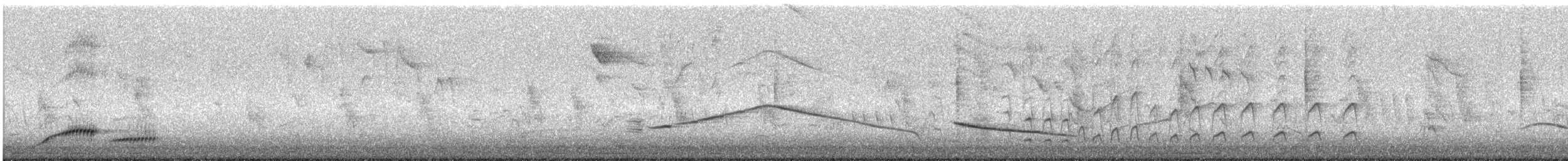 זרזיר שחור - ML644908832