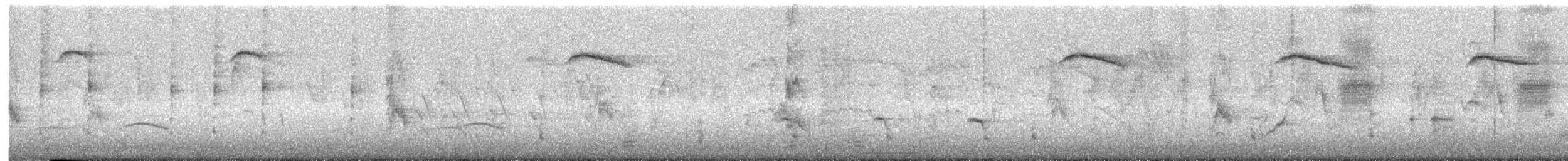 זרזיר שחור - ML644908834