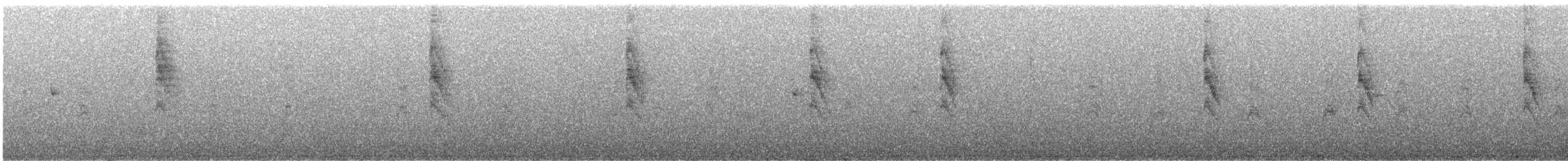 Winter Wren - ML644909066