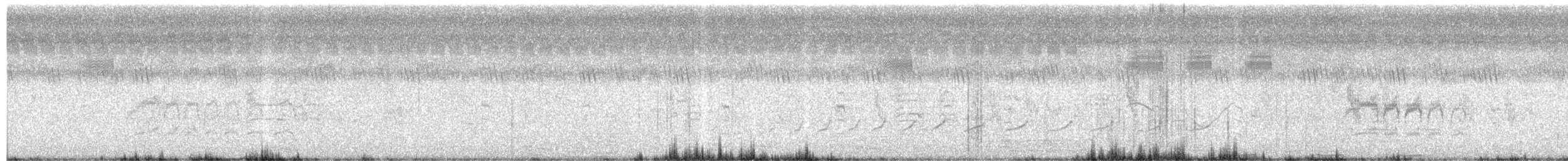 Black-headed Cuckooshrike - ML644910380