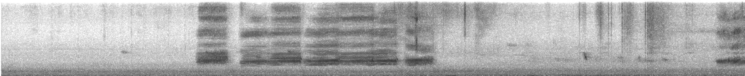 Black-collared Starling - ML644910416