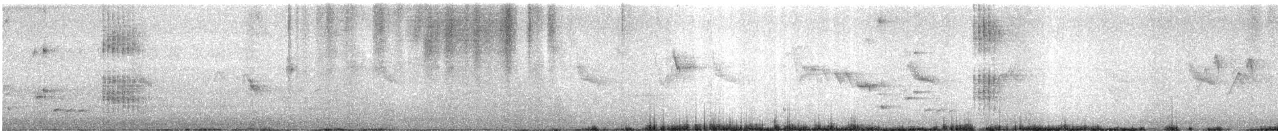 Red-billed Blue-Magpie - ML644910420