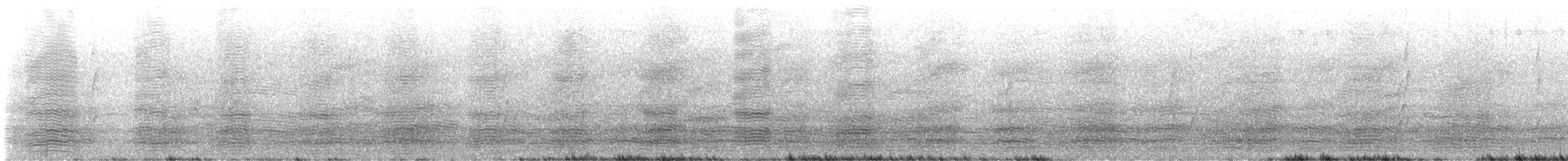 Little Raven - ML644910506