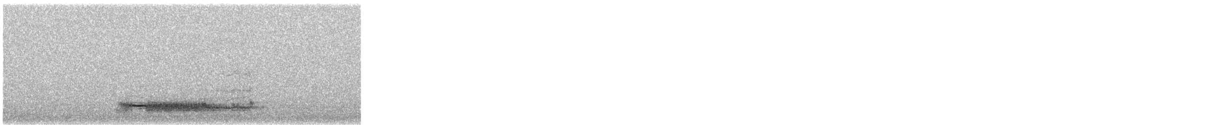 Western Barn Owl - ML644911214