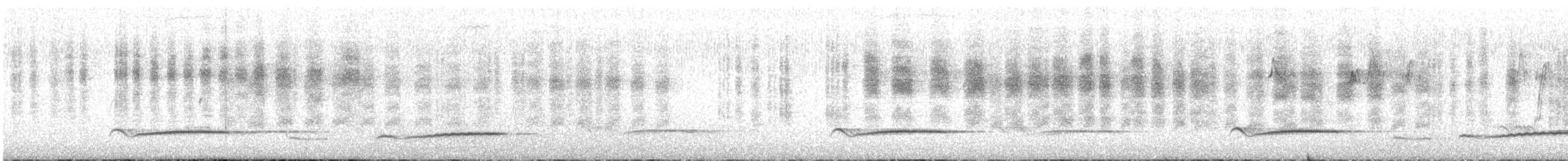 kukačka skořicová - ML644911868