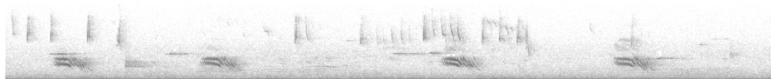 Black-faced Cuckooshrike - ML644911997