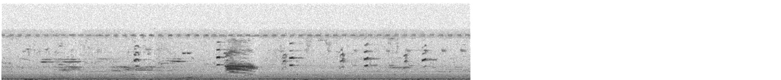 Échasse blanche - ML644912276