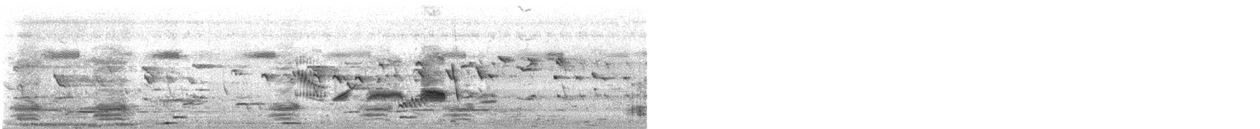 印度鵲椋鳥 - ML644912475