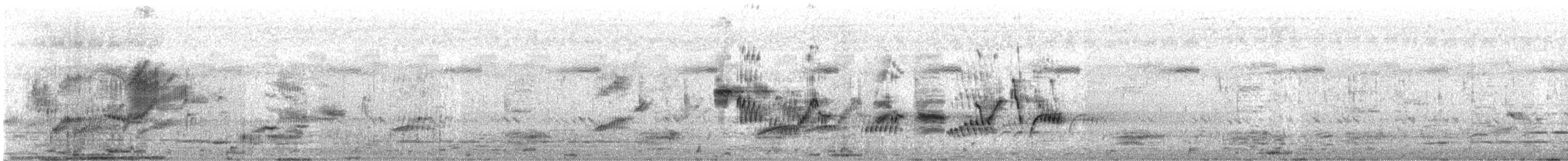 印度鵲椋鳥 - ML644912476