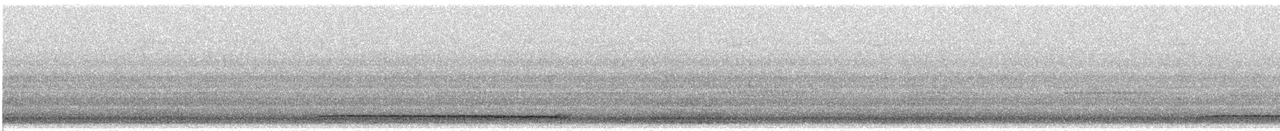 Восточноамериканская совка - ML644912607