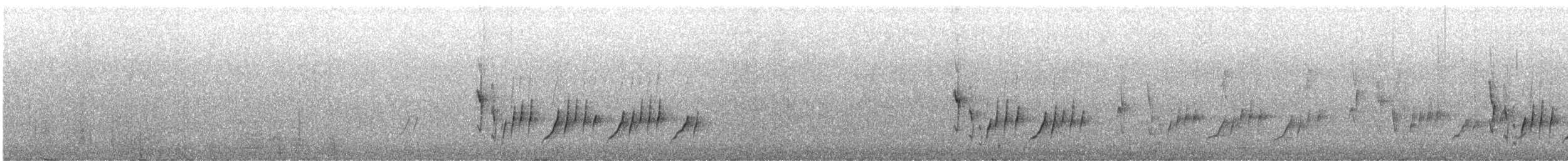 Кольчатый медосос - ML644912628