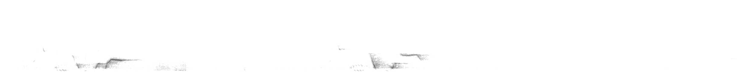 Ожерелковый свистун - ML644912634