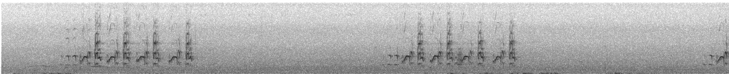 Воротничковый попугай - ML644912731