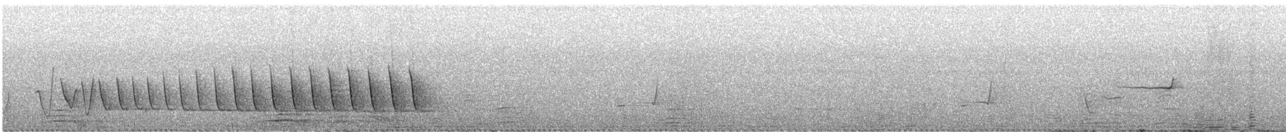 Ожерелковый свистун - ML644913064