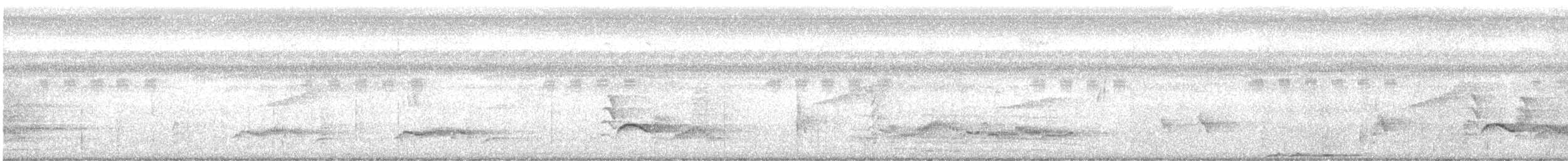 Black-faced Coucal - ML644914599