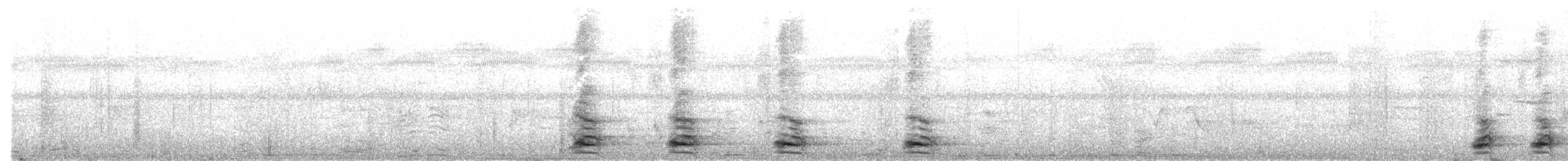 Dschungelkrähe - ML644915000