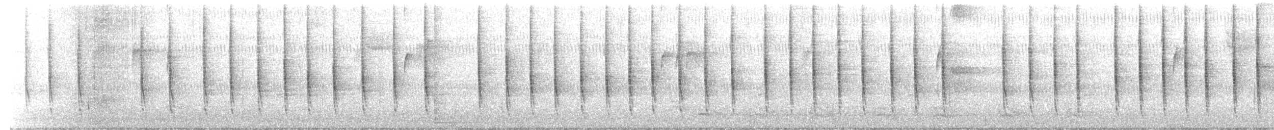 Winter Wren - ML644915068