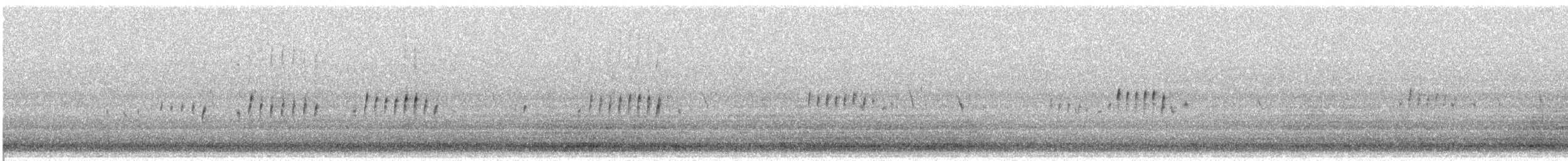 American Woodcock - ML644915657