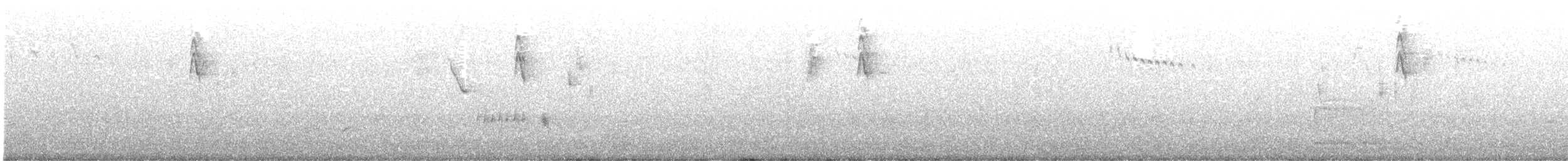 bird sp. - ML644916392