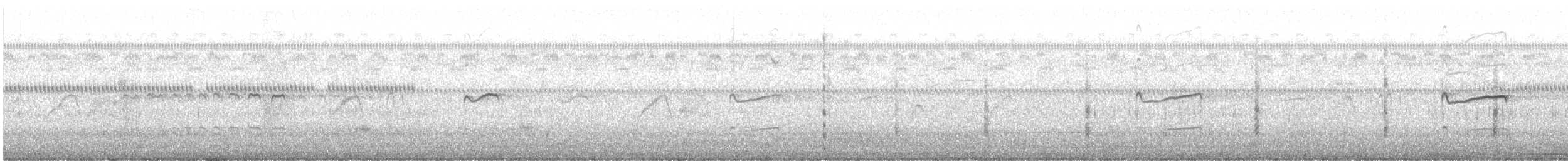 Chorlitejo Culirrojo - ML644916564